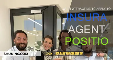 Why I Chose an Insurance Agent Career