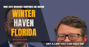 Winter Haven, Florida: Auto Insurance Companies Available