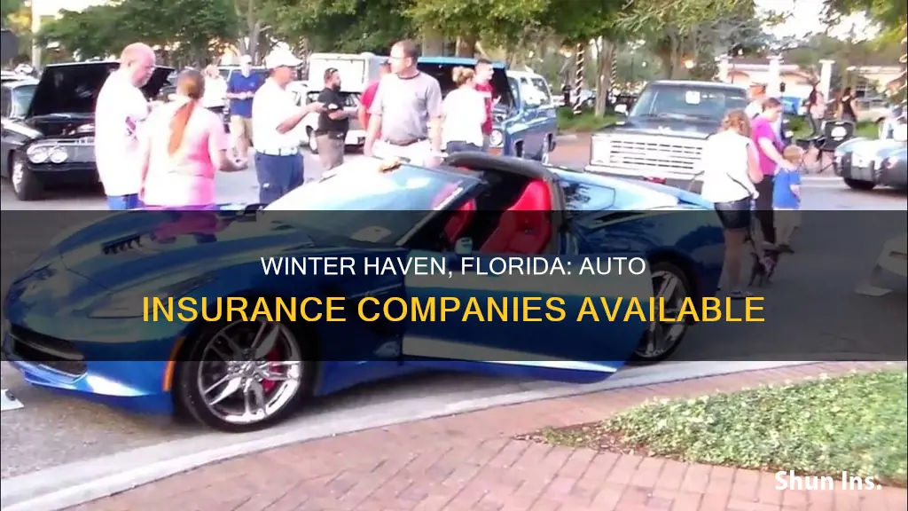 what auto insurance companies are around winter haven florida