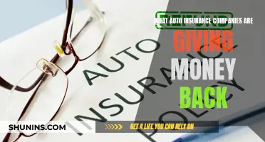 Auto Insurance Refunds: Which Companies are Giving Back?