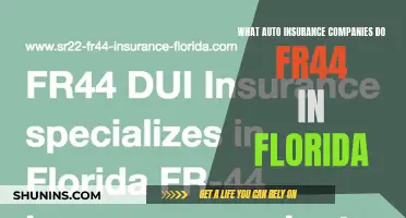 Florida's Top FR44 Auto Insurance Companies Revealed