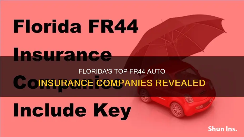 what auto insurance companies do fr44 in Florida