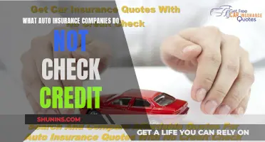 Auto Insurance Companies That Don't Check Your Credit History