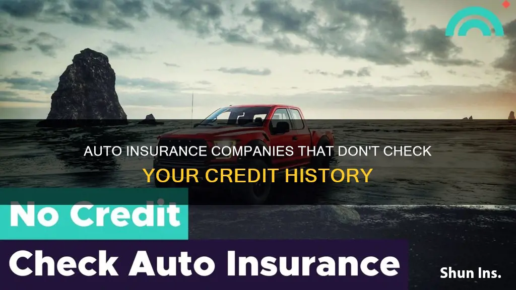 what auto insurance companies do not check credit