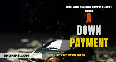 Best No Down Payment Auto Insurance Companies