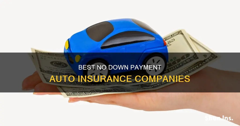 what auto insurance companies don