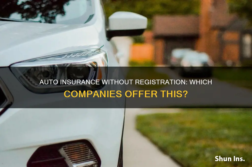 what auto insurance companies don