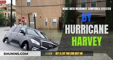 Hurricane Harvey: Auto Insurance Companies Impacted and Their Response