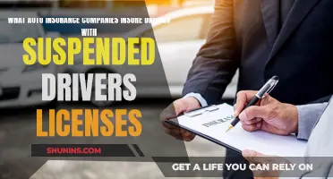 Get Insured: Suspended Licenses and Auto Insurance Options