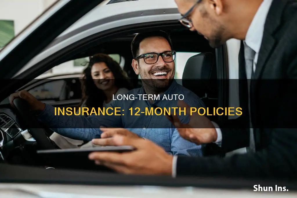 what auto insurance companies offer 12-month policies