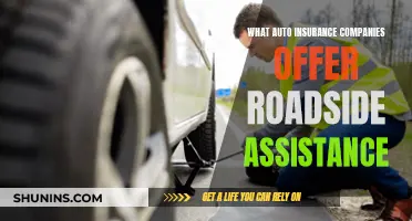 Roadside Assistance: Auto Insurers Offering Comprehensive Coverage