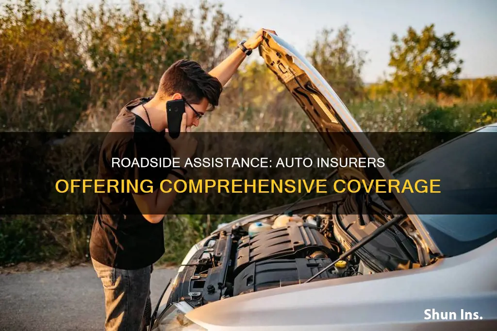 what auto insurance companies offer roadside assistance