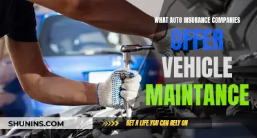 Best Auto Insurance Companies for Vehicle Maintenance