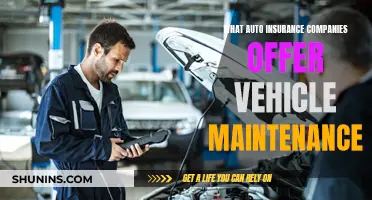 Best Auto Insurance Companies for Vehicle Maintenance Services