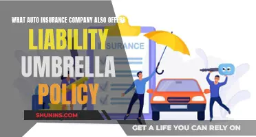 Best Auto Insurance Companies for Umbrella Policies