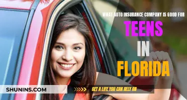 Florida Teens: Best Auto Insurance Companies