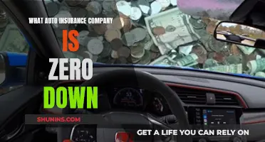 Zero Down Payment Auto Insurance: Is It Possible?