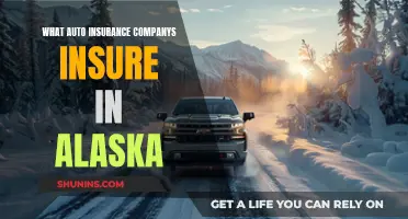 Best Auto Insurance Companies in Alaska