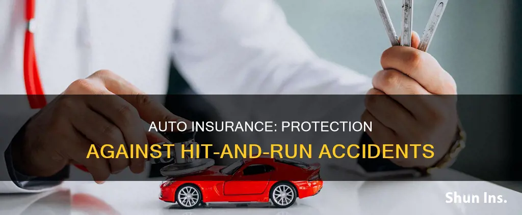 what auto insurance cover hit and run