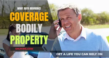 Understanding Auto Insurance: Bodily Injury and Property Damage Coverage