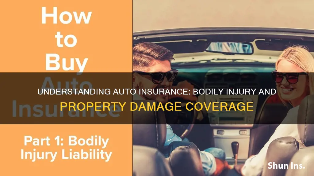 what auto insurance coverage bodily property