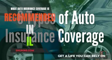 Auto Insurance Coverage: What's Recommended in Illinois?