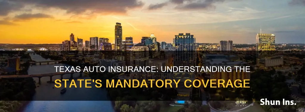 what auto insurance coverage is required in Texas