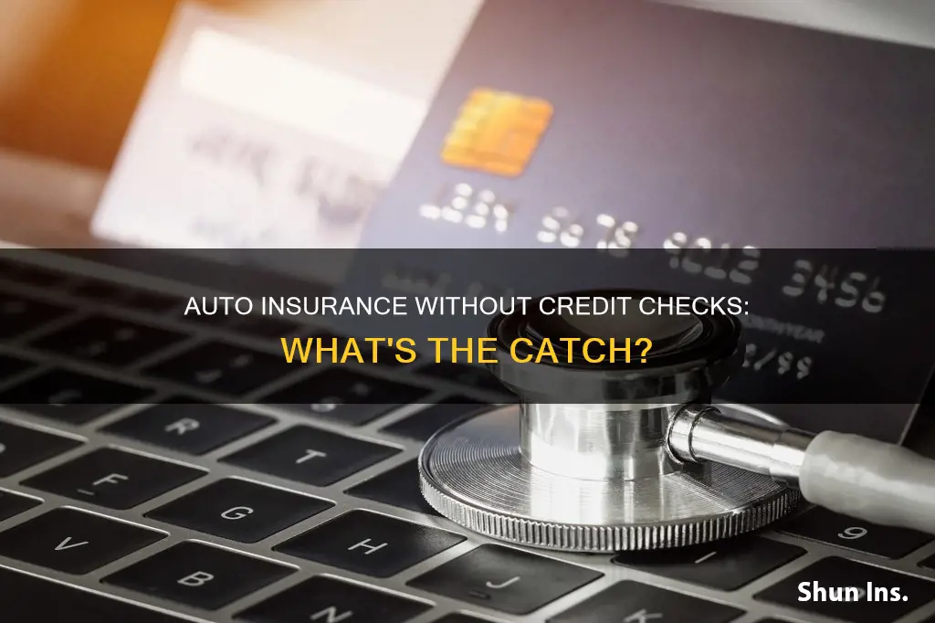 what auto insurance doesn run your credit