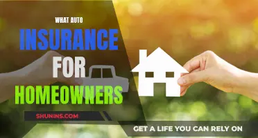 Homeowners: Choosing the Right Auto Insurance Coverage