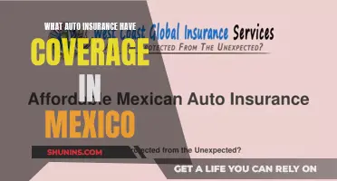 Auto Insurance: Coverage in Mexico - What's Included?