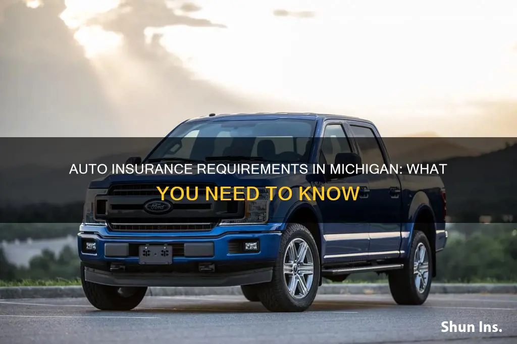 what auto insurance ins required in the state of michigan