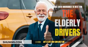 Best Auto Insurance for Elderly Drivers: Safety and Savings