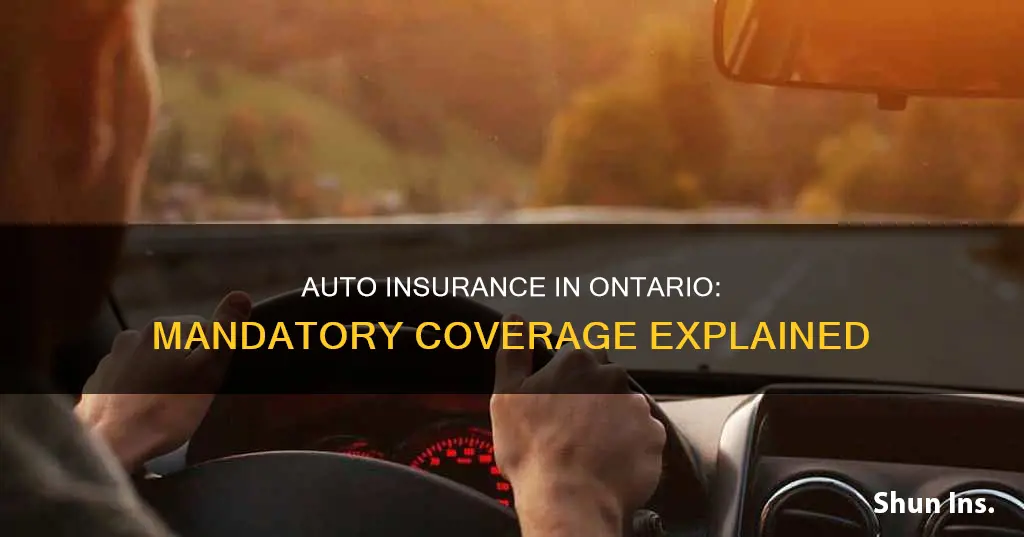 what auto insurance is mandatory in ontario