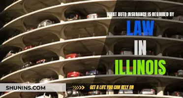 Auto Insurance: Illinois' Legal Requirements Explained