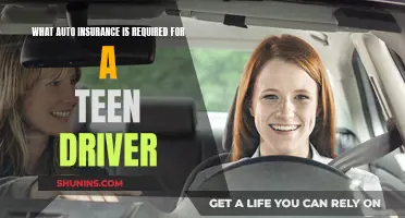 Auto Insurance Basics for Teen Drivers