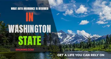 Auto Insurance Requirements in Washington State: What You Need to Know