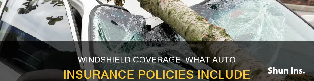 what auto insurance provides windshield coverage