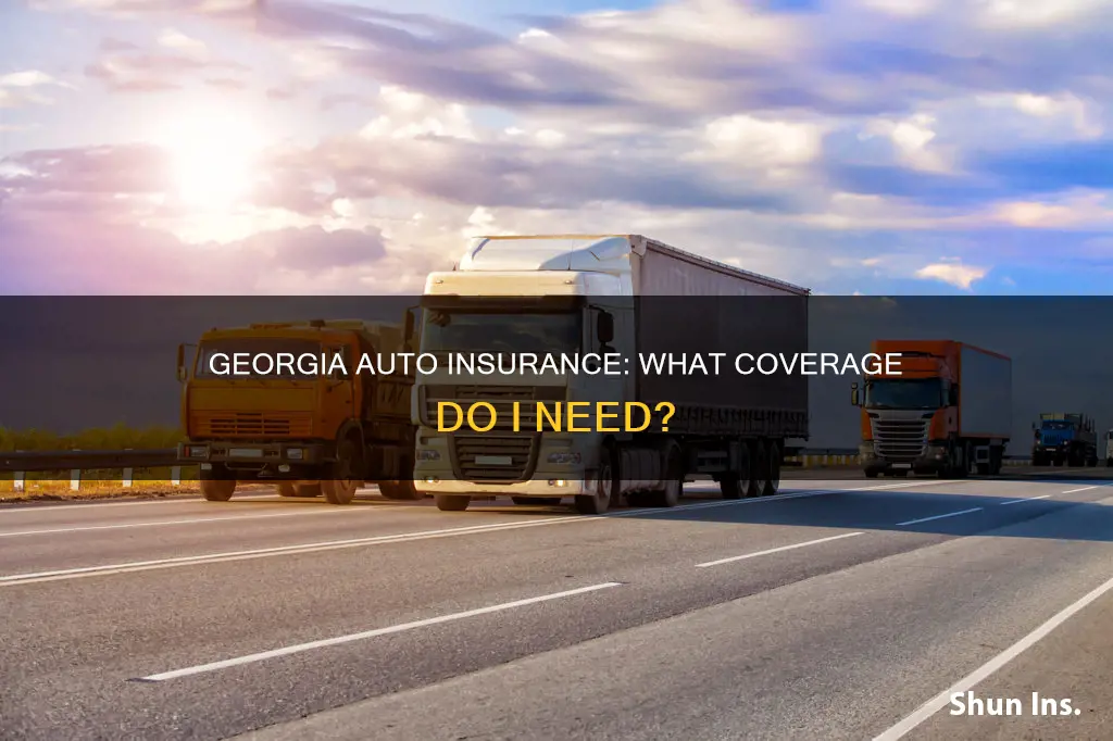 what auto insurance should I carry in Georgia