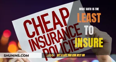 Affordable Autos: Low-Cost Insurance Options