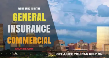 Band in the General Insurance Ad: Who Are They?