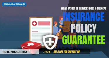Medical Insurance: Understanding Your Basket of Services