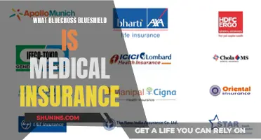 BlueCross BlueShield: Understanding Your Medical Insurance Options