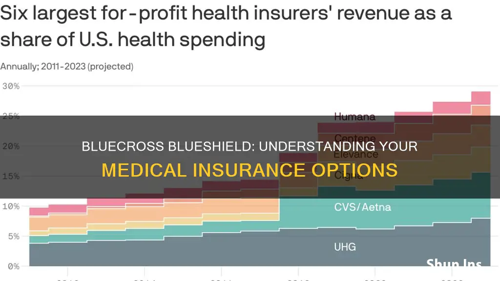 what bluecross blueshield is medical insurance