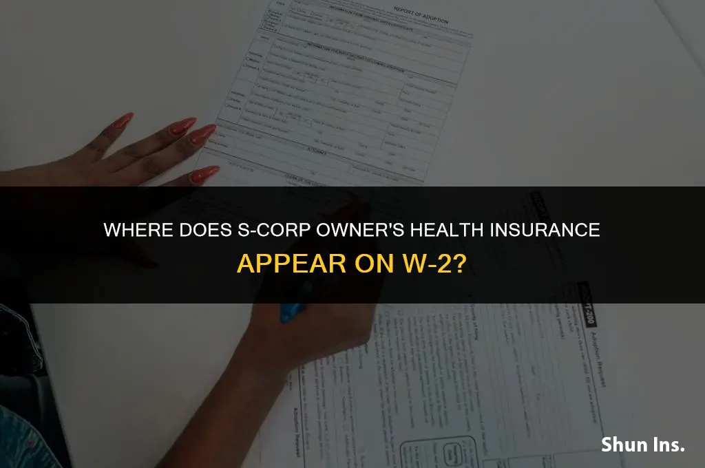 what box in w-2 does s-corp owner