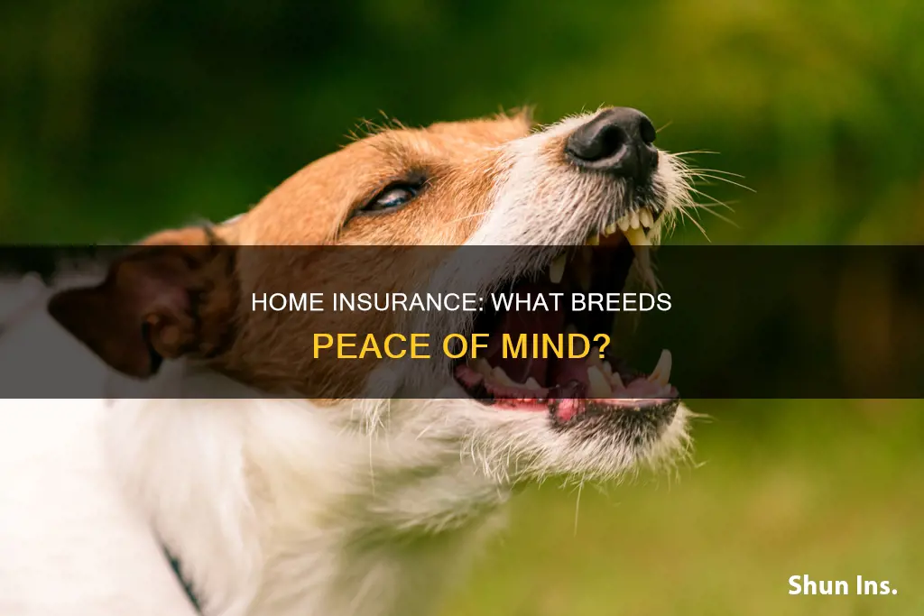 what breeds house insurance