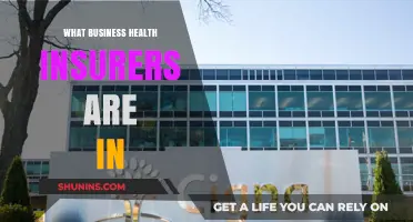 Exploring the Landscape of Business Health Insurers: A Comprehensive Guide