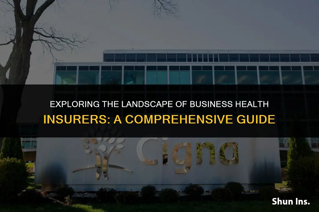 what business health insurers are in
