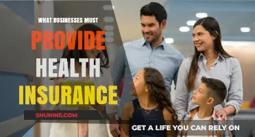 Essential Benefits: Health Insurance Mandates for Businesses Explained