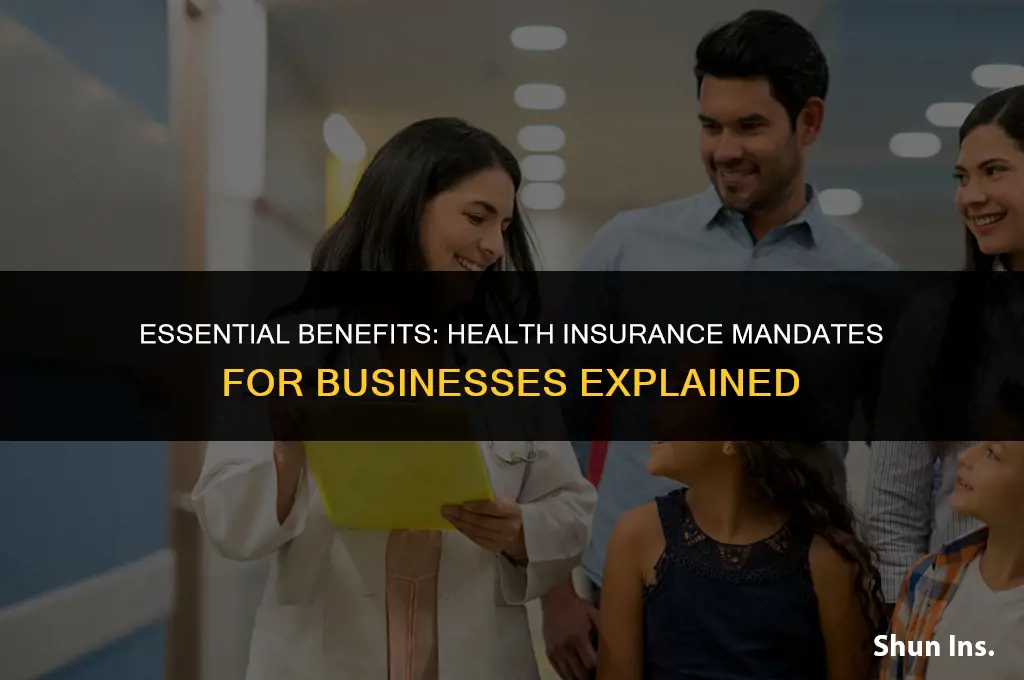what businesses must provide health insurance