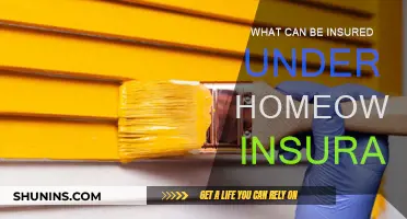 Homeowner's Insurance: What's Covered and What's Not?